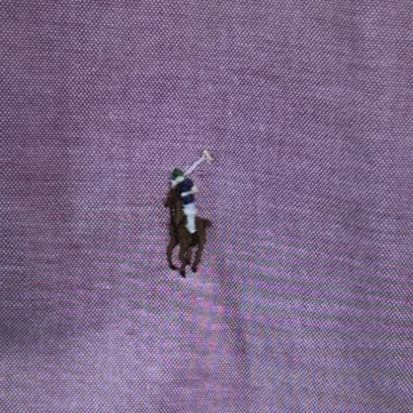 Polo by Ralph Lauren Lavender Button-Down Dress Shirt - Picture 2 of 3